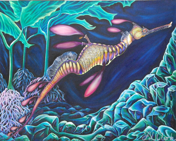 Weedy Sea Dragon - On the Journey